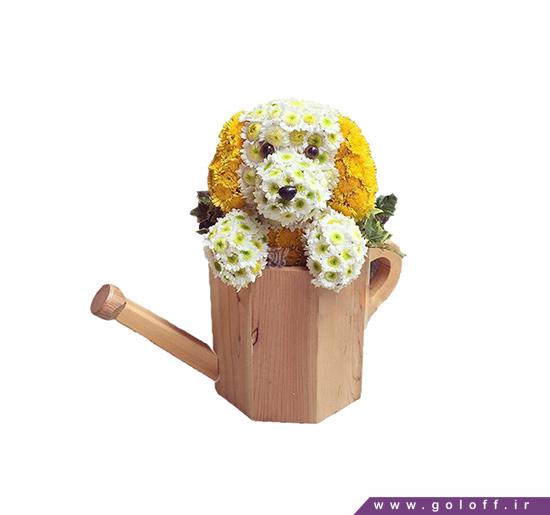 گل فانتزی - گل تولد نوزاد تدی - Flower Toy | گل آف